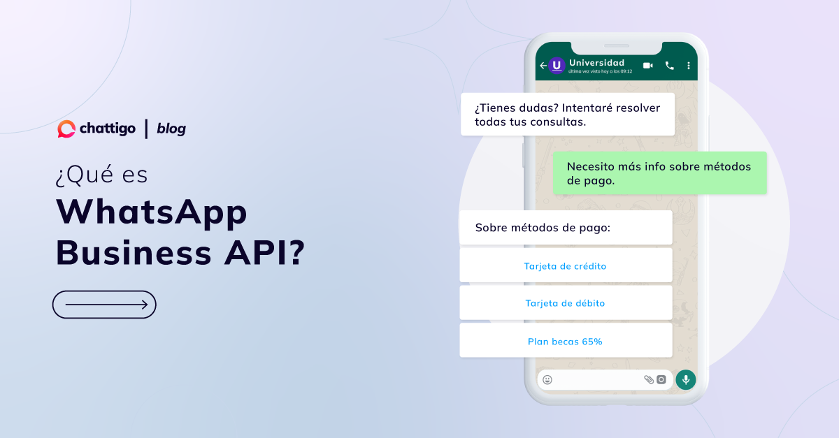 que-es-whatsapp-business-api